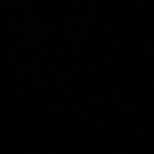 Meet your Posher, Gabe